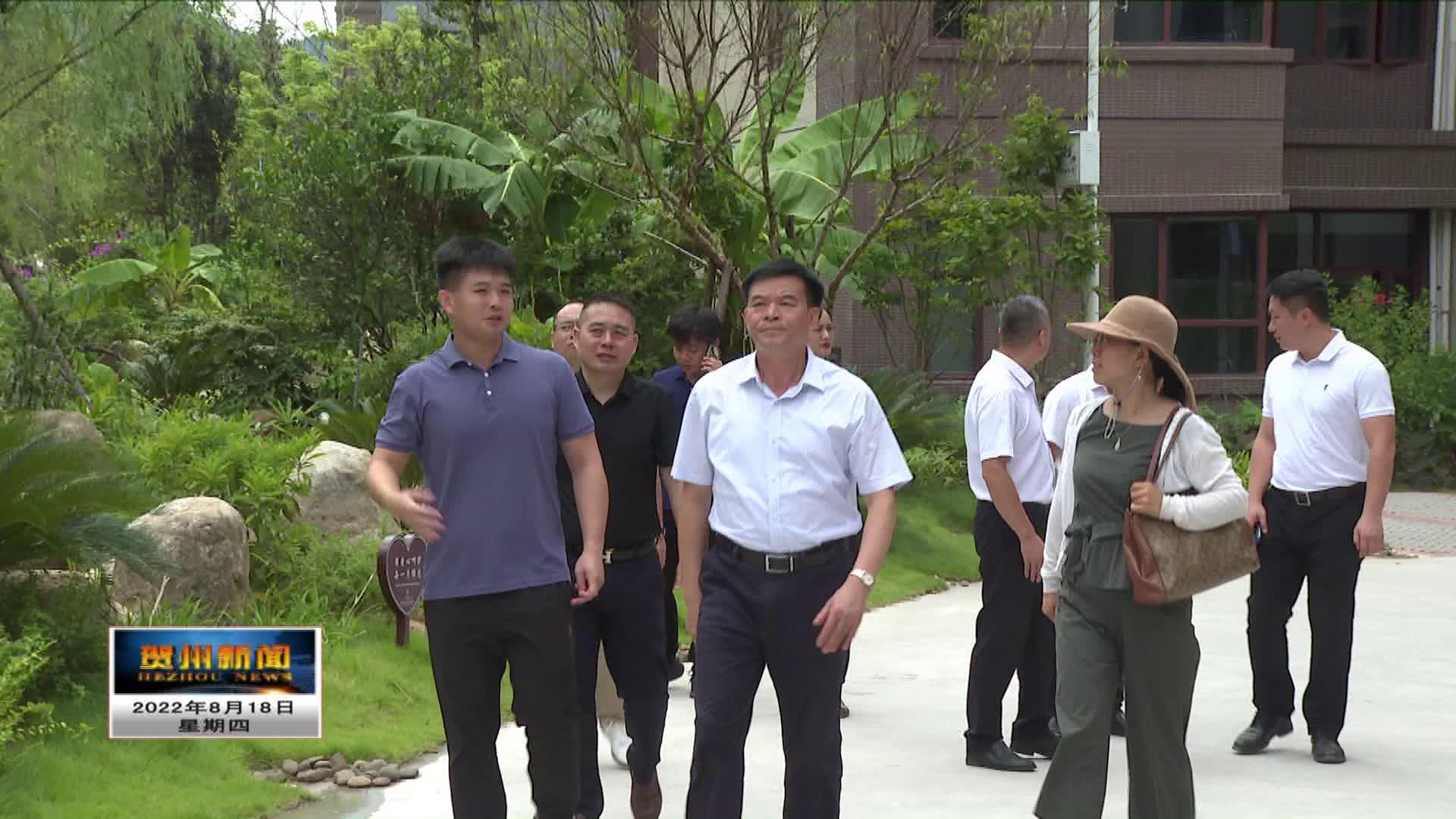 徐海浪到平桂区,八步区开展调研活动