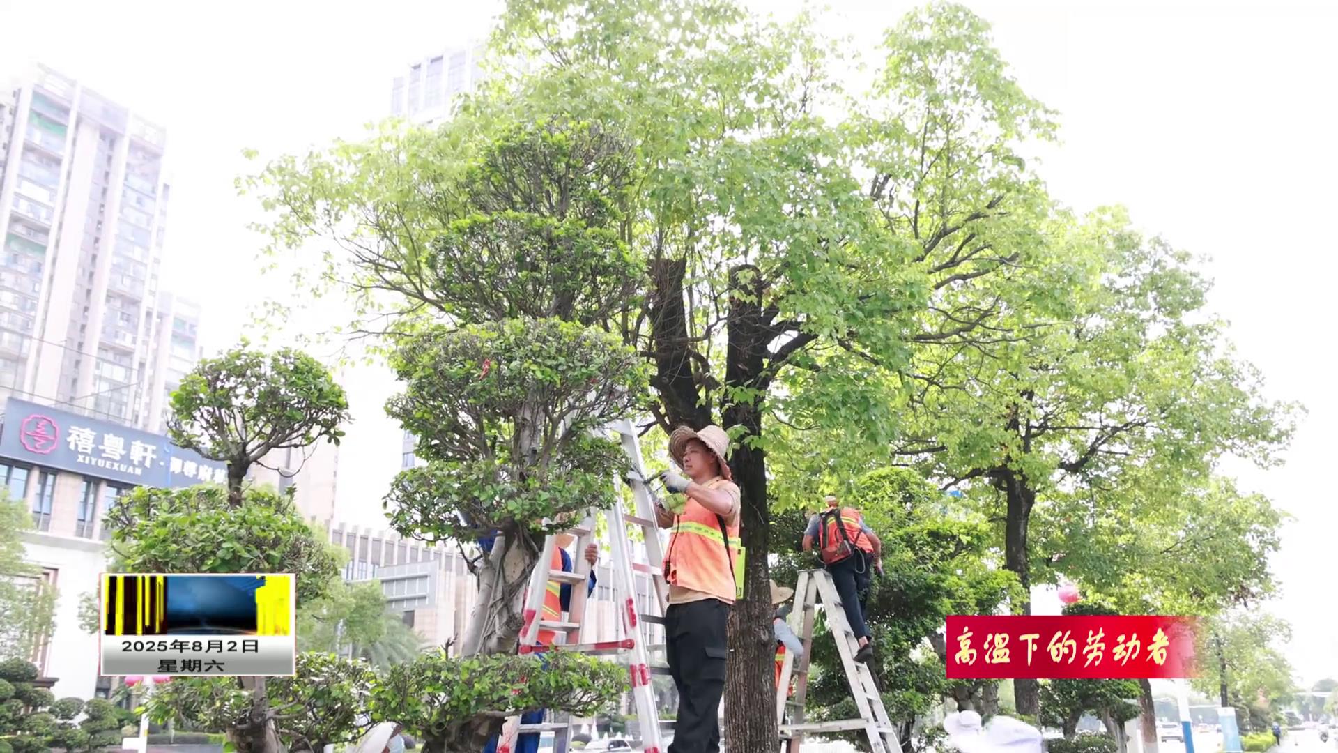 贺州:园林管护人员用汗水守护城市绿荫