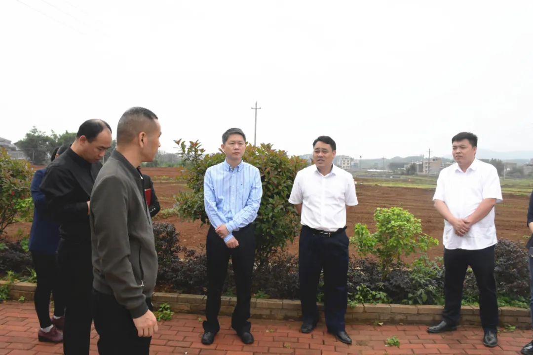 周诚率队调研我区旱改水项目建设情况