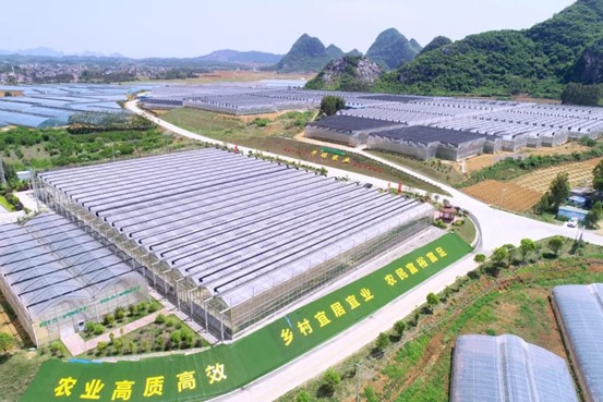 平桂区入选全区首批自然资源政策助力乡村振兴先行推进县（区）