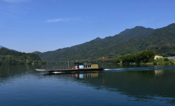 林长制“发力”！贺州以“制度+行动”护林草湿