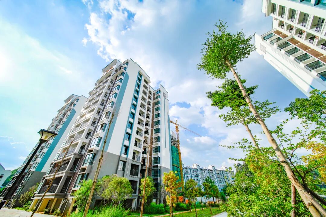 自治区下达的这项任务，贺州提前超额完成！