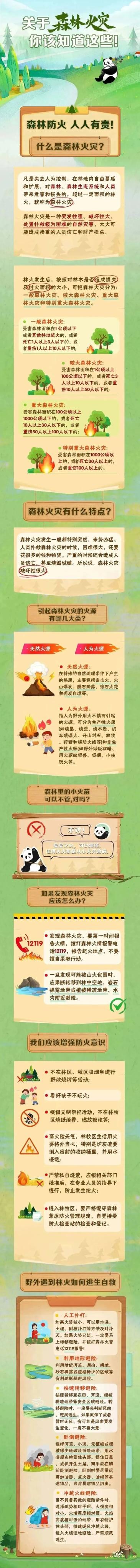 森林防火,你了解多少?这些知识关键时刻能守护生命与家园