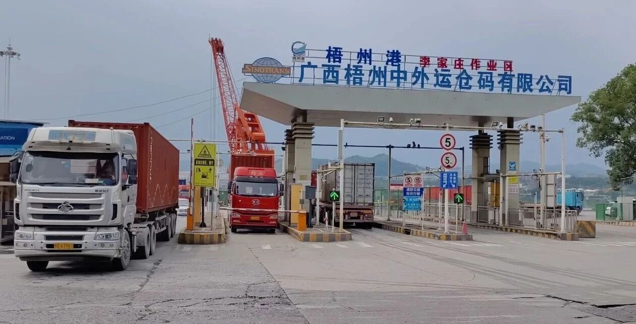 广西首批附条件提离进境（食用）燕麦顺利通关