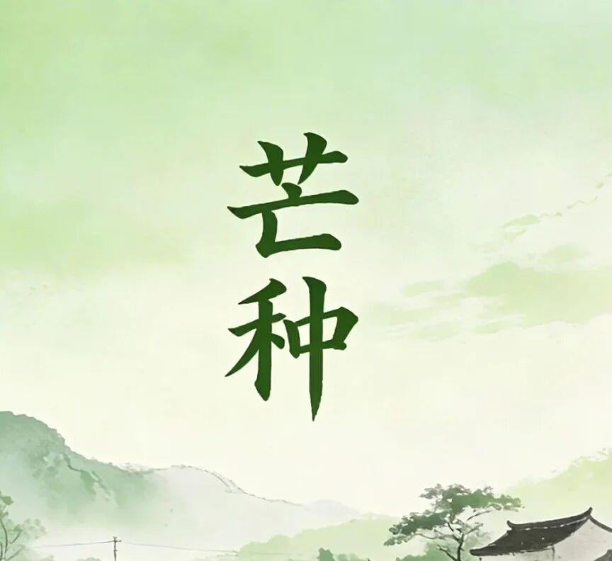 今日芒种 | 芒有所获，种有所得