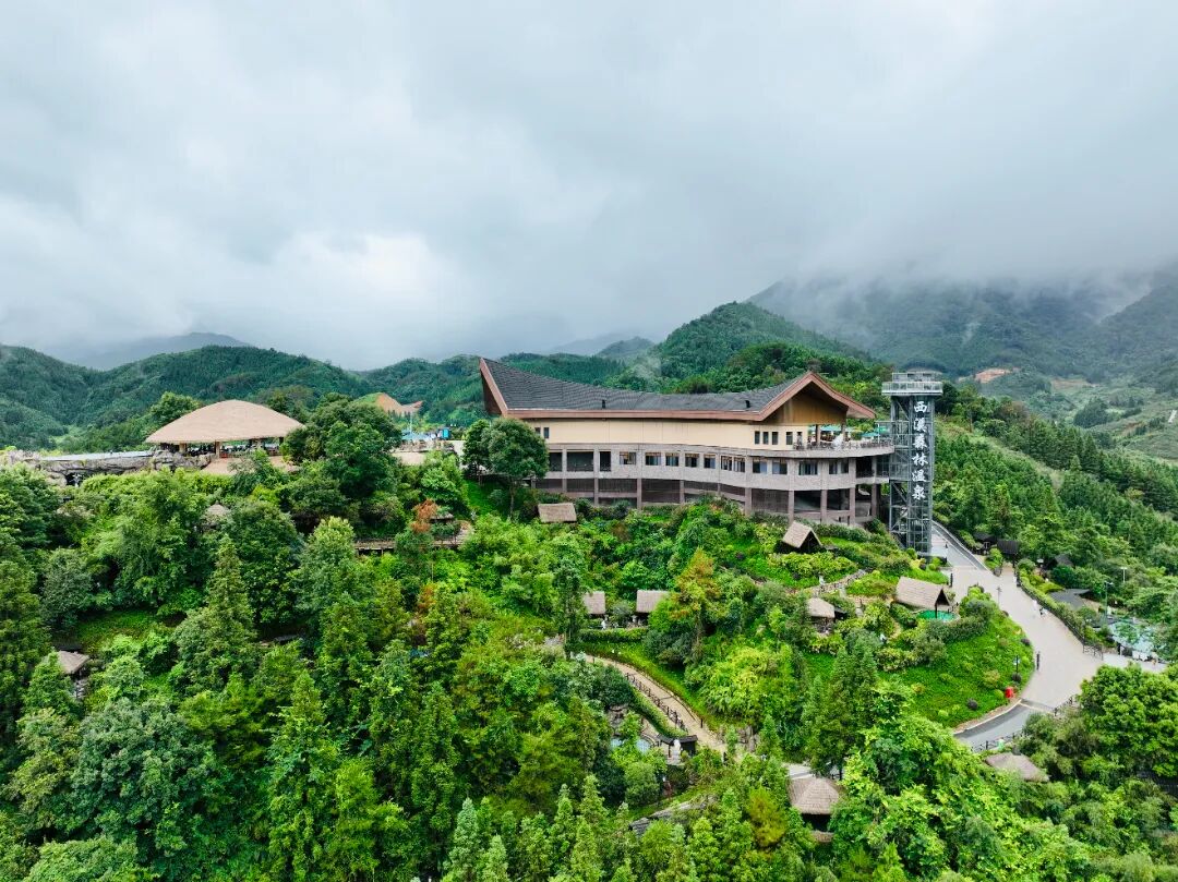 粤港澳大湾区媒体集体打卡！贺州的美，不止绿水青山