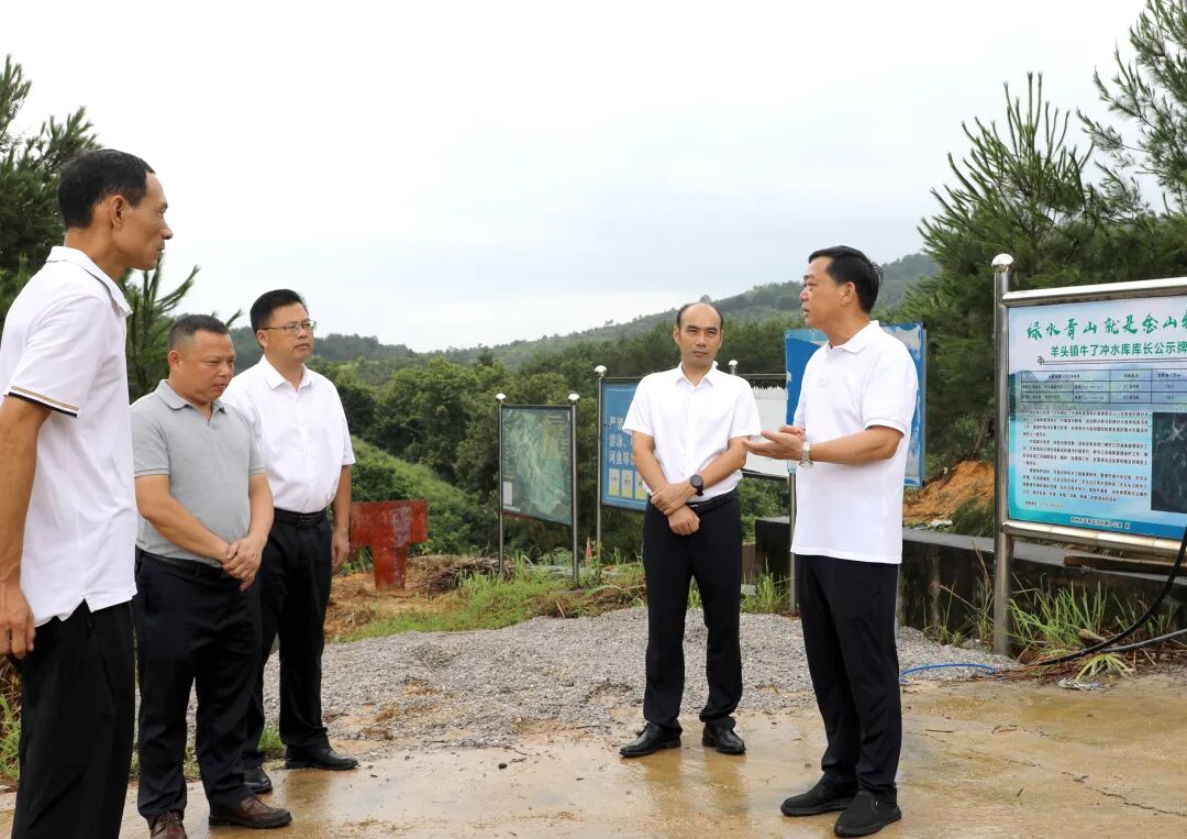 彭代元到平桂区羊头镇督导检查水库安全度汛工作
