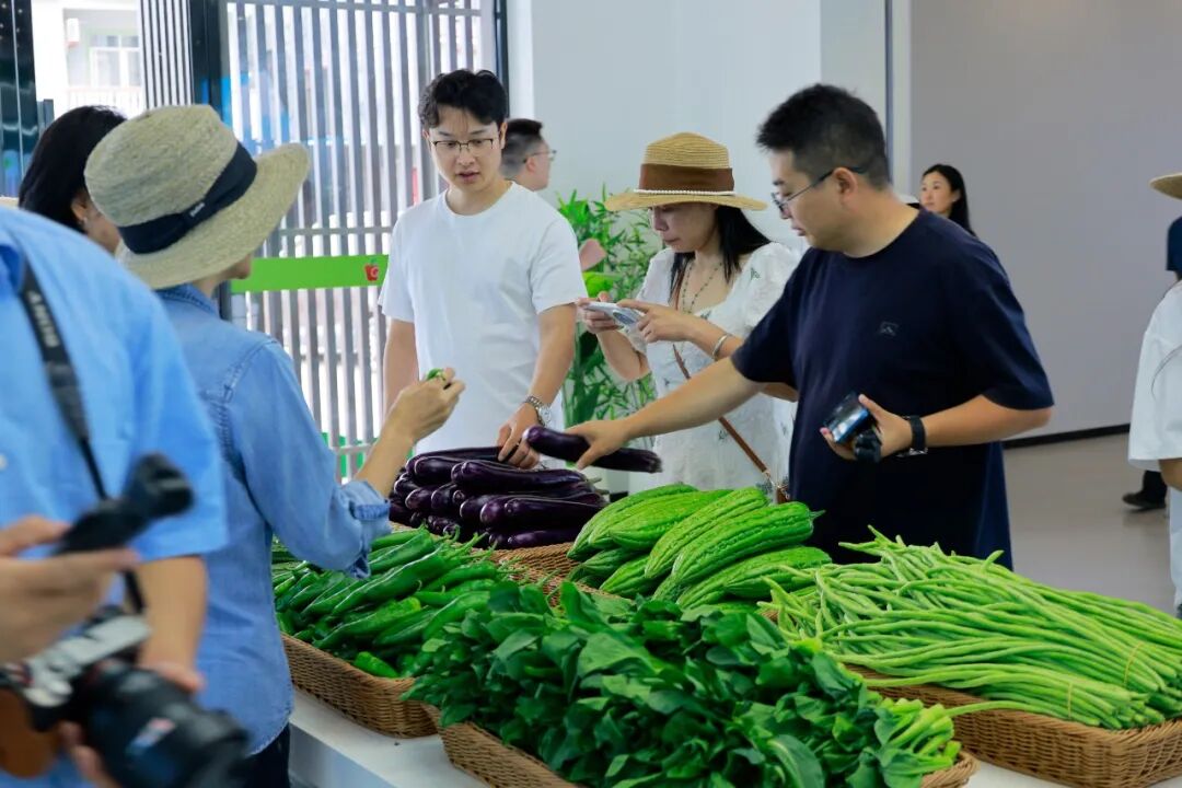 “云说壮美·八方来贺”网络名人采风活动走进平桂区